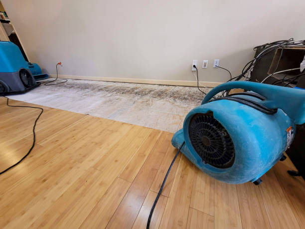 Professional Ceiling Water Damage Repair technician working in East Petersburg, PA